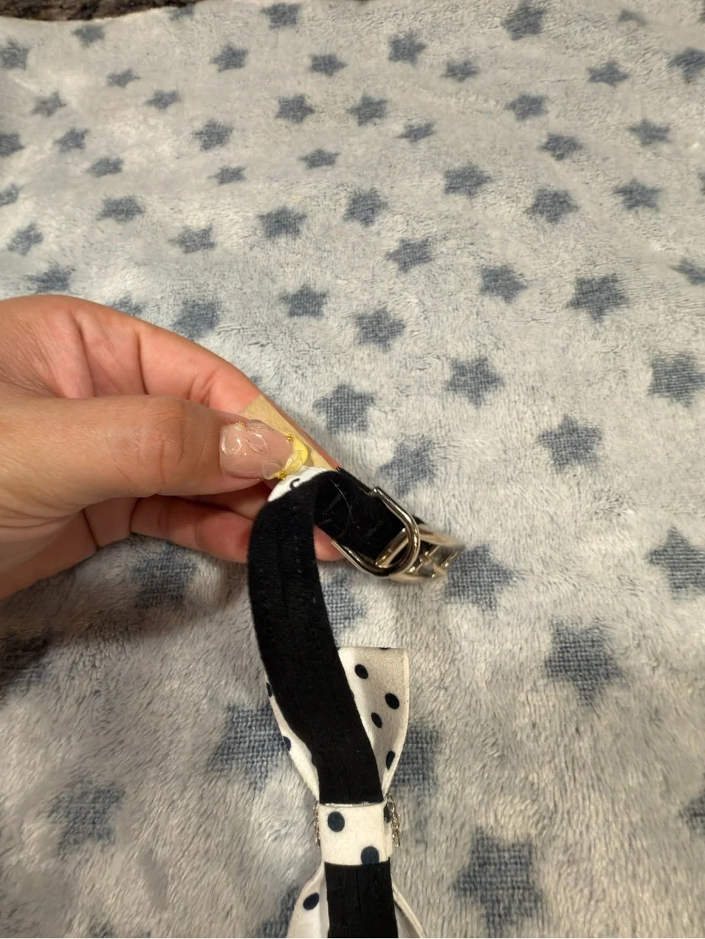 Susan Lanci Black Dog Collar with White Polka Dot Bow small nouveau bow